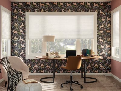 LPL Light Filtering Serenity Cellular Shades