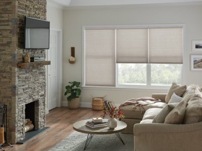 Our Brand Regalia Cellular Shades LPL Cell Shades 