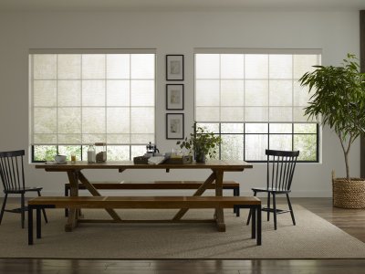 Our Brand Essentials Aristocrat Light Filtering Roller