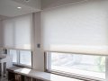Breeze Woven Light Filtering Cordless Shade